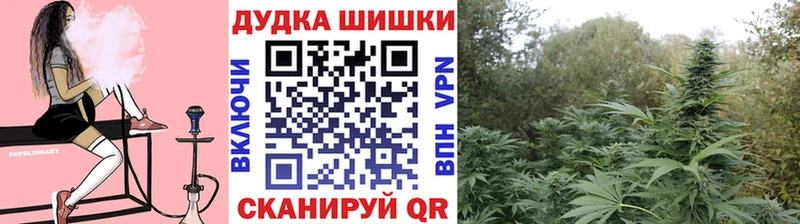 Бошки марихуана семена  Купить где  Приморско-Ахтарск 